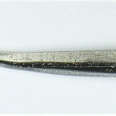 Roboworm Curly Tail