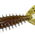 Zoom Z-Craw