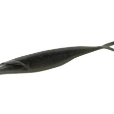 Deps Sakamata Shad