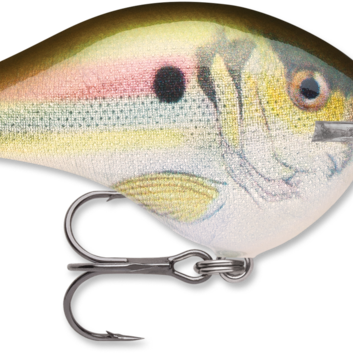 Rapala Dives-To 10 Series DT10