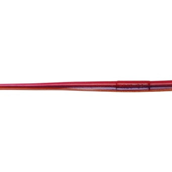 Roboworm Straight Tail Worm