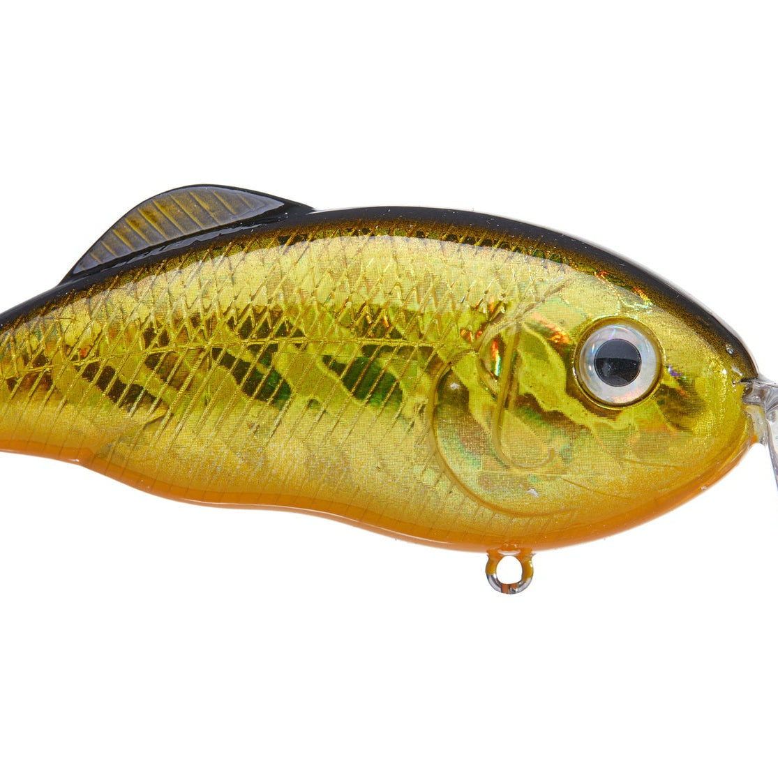 Strike King Hybrid Hunter Crankbait