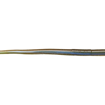 Roboworm Straight Tail Worm