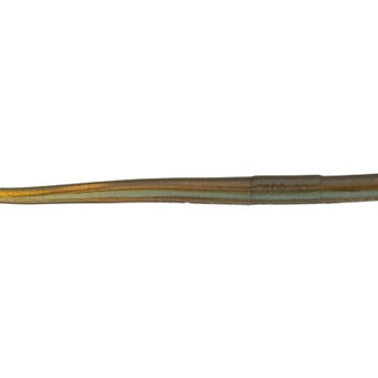 Roboworm Straight Tail Worm