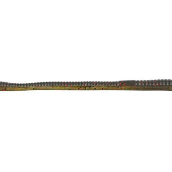 Zoom Trick Worm