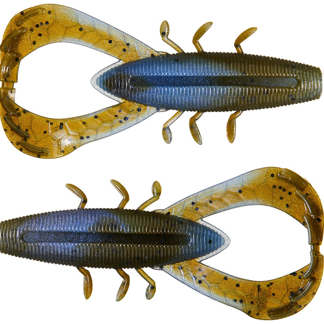 Yamamoto Nuki Bug