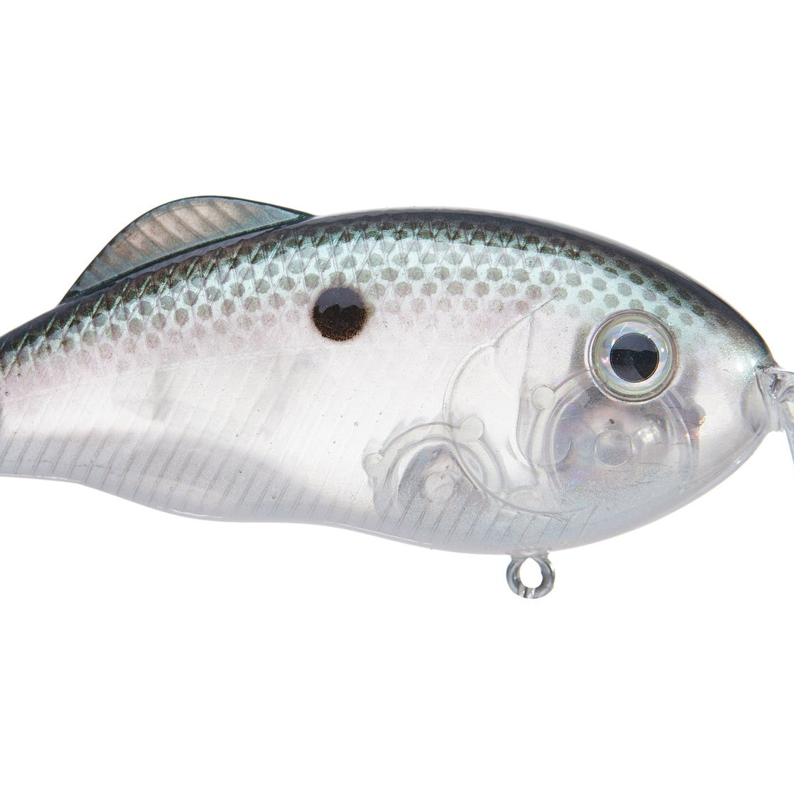 Strike King Hybrid Hunter Crankbait