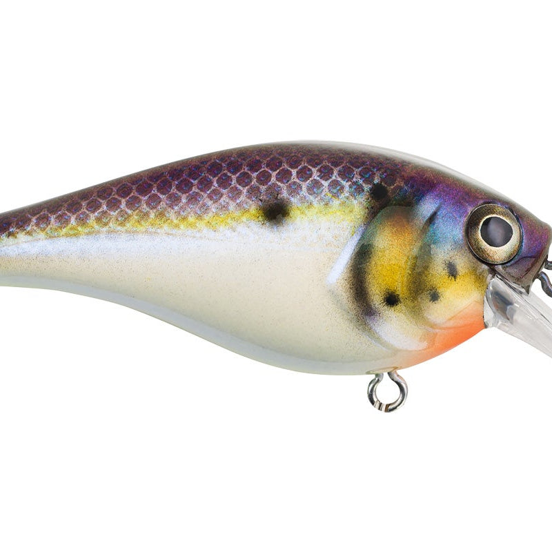 Berkley Squarebull Crankbait