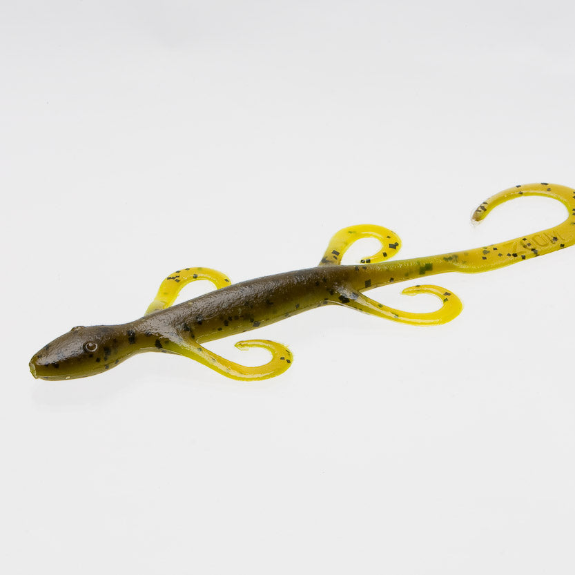 Zoom Lizards