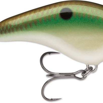 Rapala Ott's Garage Slim 06