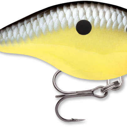 Rapala Dives-To 6 Series DT6