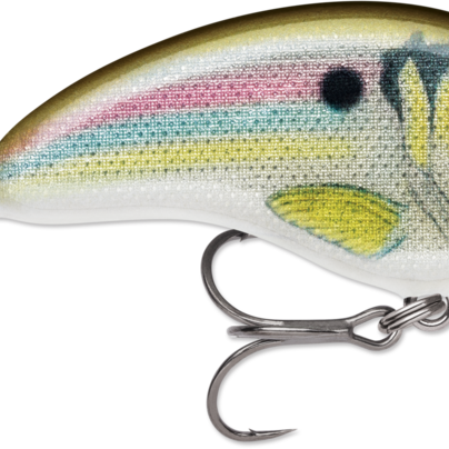 Rapala Ott's Garage Tiny 04
