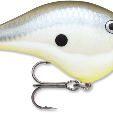 Rapala Dives-To 6 Series DT6