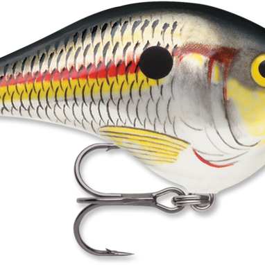 Rapala Dives-To 6 Series DT6