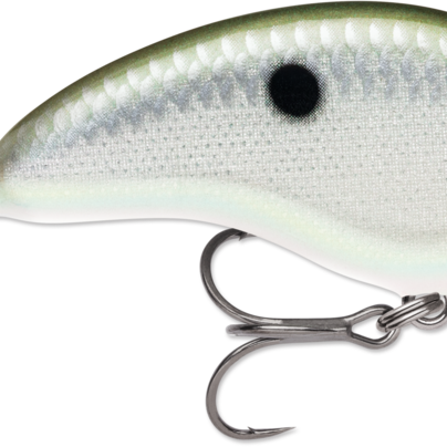 Rapala Ott's Garage Tiny 04