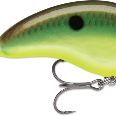 Rapala Ott's Garage Tiny 04