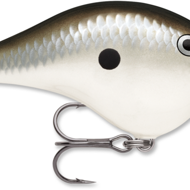 Rapala Dives-To 6 Series DT6