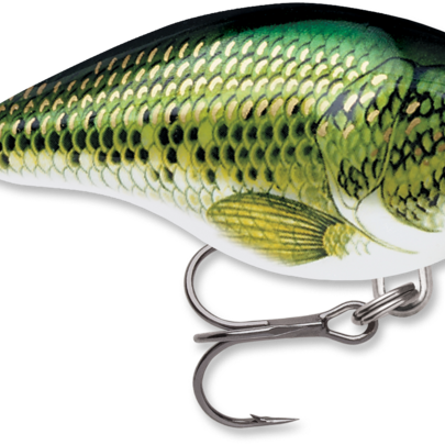 Rapala Dives-To 6 Series DT6