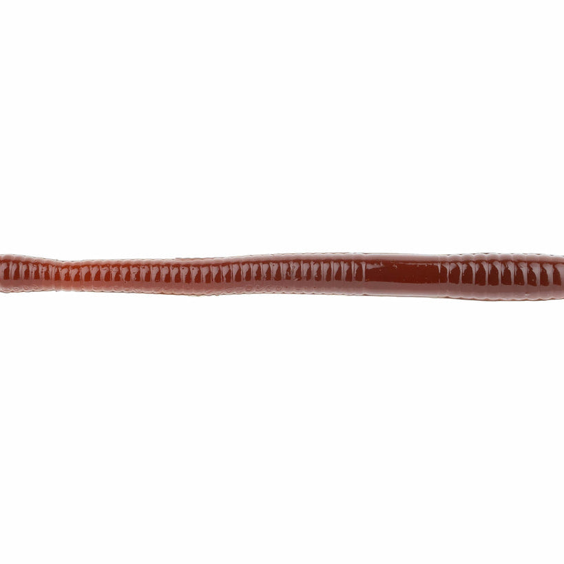 NetBait BaitFuel Finesse Worm
