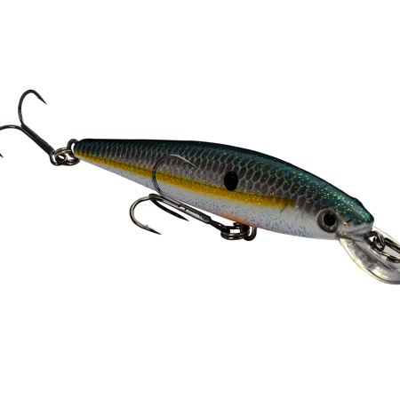 Strike King KVD Jerkbait 100 2 Hook