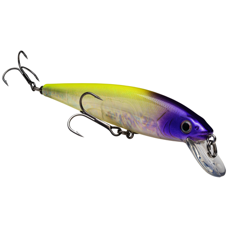 Strike King KVD Jerkbait 200 2 Hook