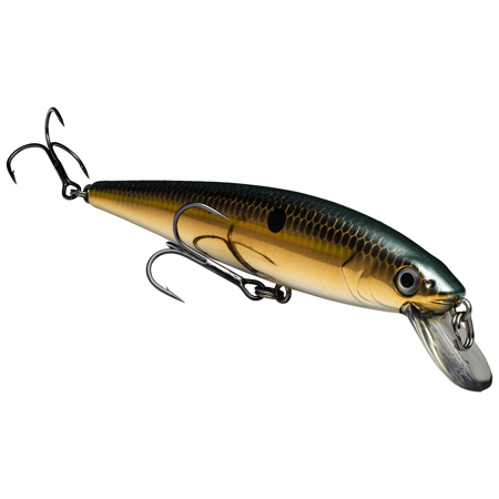 Strike King KVD Jerkbait 200 2 Hook