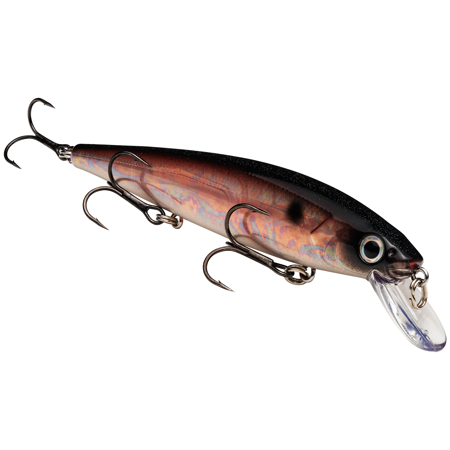 Strike King KVD Jerkbait 300 3 Hook