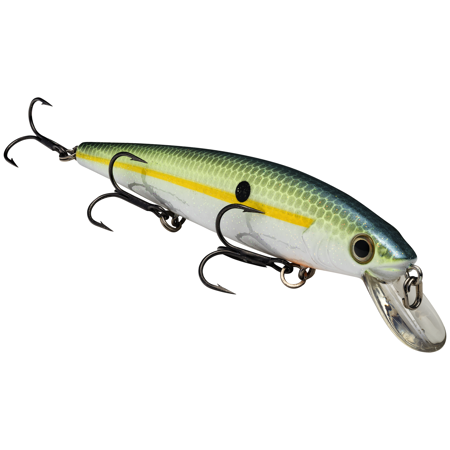 Strike King KVD Jerkbait 300 3 Hook