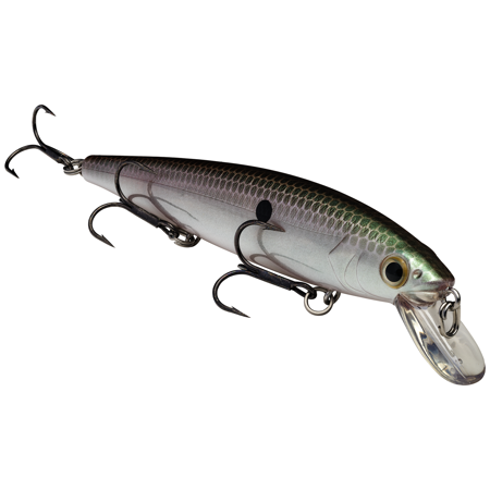 Strike King KVD Jerkbait 300 3 Hook