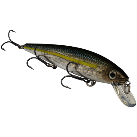 Strike King KVD Jerkbait 300 3 Hook