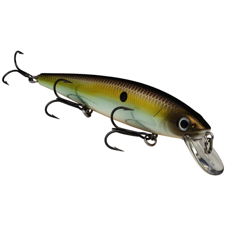 Strike King KVD Jerkbait 300 3 Hook