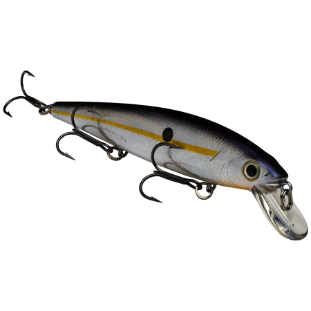 Strike King KVD Jerkbait 300 3 Hook