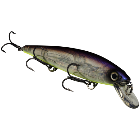Strike King KVD Jerkbait 300 3 Hook