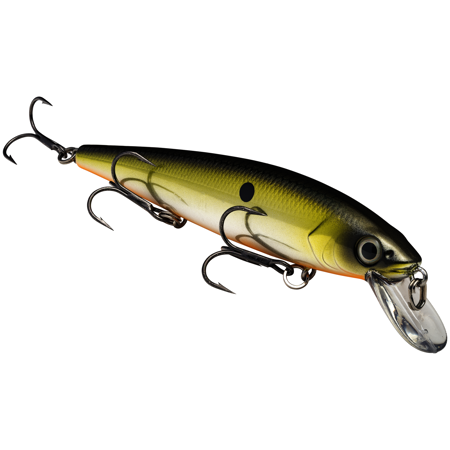 Strike King KVD Jerkbait 300 3 Hook