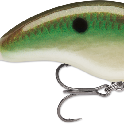 Rapala Ott's Garage Tiny 04