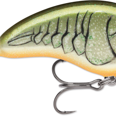 Rapala Ott's Garage Tiny 04