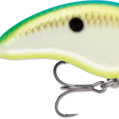 Rapala Ott's Garage Tiny 04