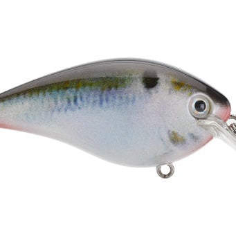 Strike King KVD 1.5 Hard Knock Crankbait