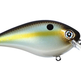 Strike King KVD Square Bill 1.5
