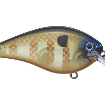 Strike King KVD 1.5 Hard Knock Crankbait