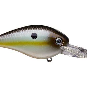 Strike King KVD Deep Diver Squarebill 1.5