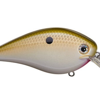 Strike King KVD 4.0 Magnum Squarebill
