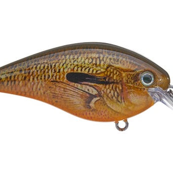 Strike King KVD Squarebill 2.5
