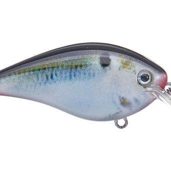 Strike King KVD Squarebill 2.5