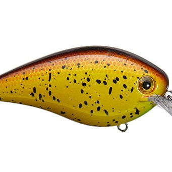 Strike King KVD 4.0 Magnum Squarebill