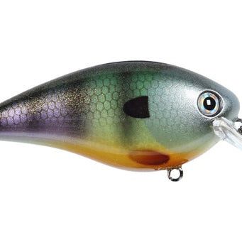 Strike King KVD Squarebill 2.5