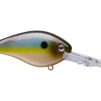 Strike King KVD 1.5 Flat Side Crankbait