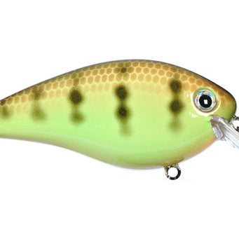 Strike King KVD Square Bill 1.5