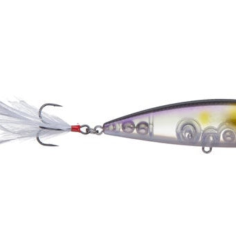 Strike King KVD Splash Popper