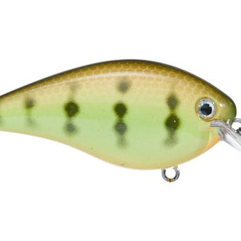 Strike King KVD 1.5 Hard Knock Crankbait